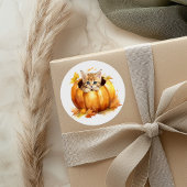 Schattige kitten in pompoen ronde sticker