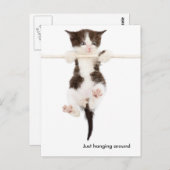 schattige kitten rondhangen briefkaart (Voorkant / Achterkant)