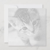 Schattige Kitten Square Flat Hartelijk dank Bedankkaart (Achterkant)