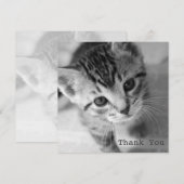 Schattige Kitten Square Flat Hartelijk dank Bedankkaart (Voorkant / Achterkant)