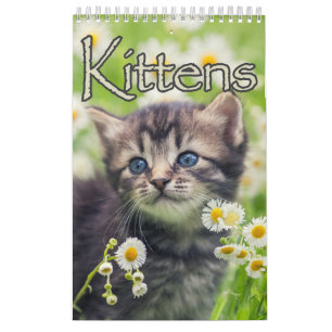 Schattige Kittens & Hartverwarmende Gezegden Grote Kalender