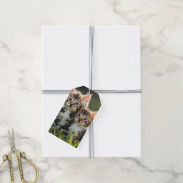 Schattige Kittens in gras Cadeaulabel