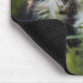 Schattige Kittens in het gras Muismat (Hoek)