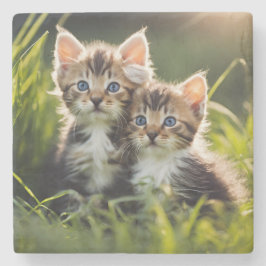 Schattige Kittens in het gras Stenen Onderzetter
