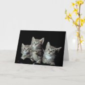Schattige Kittens Kaart (Gele Bloem)