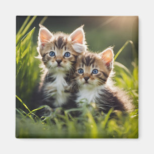 Schattige Kittens Magneet