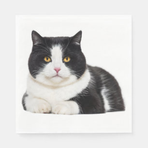 Schattige Kitty Kitten Zwarte Witte Kat Feestje Servet