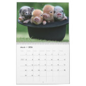 Schattige kleine biggen in een zwarte Pet agenda Kalender (Mar 2026)