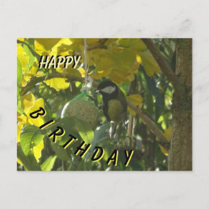 Schattige Kleine Eetvogel Verjaardagsansichtkaart Briefkaart