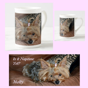 Schattige kleine slaperige Yorkshire Terrier Puppy Porselein Kop