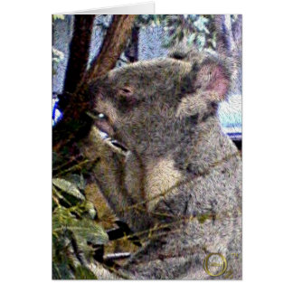 Schattige Koala