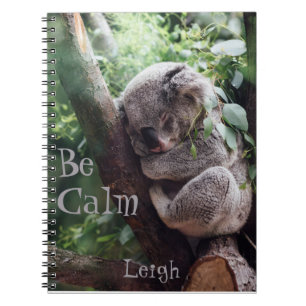 Schattige Koala Beer Dierenvrienden Journal Notitieboek