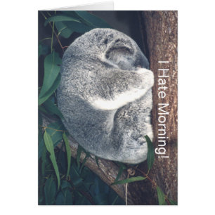SCHATTIGE KOALA BEER IN TREE/"IK HAAT DE MORGEN!"