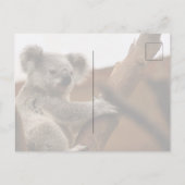 Schattige Koala Beer Rust in een Boom Briefkaart (Achterkant)