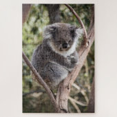 Schattige koala in boom legpuzzel (Verticaal)