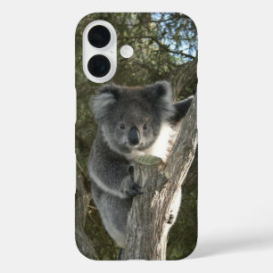 Schattige Koala Klimt in een Boom iPhone 16 Hoesje