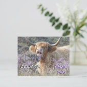 Schattige koe close-up bedankkaart briefkaart (Staand voorkant)