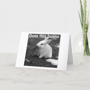 SCHATTIGE KONIJN STUREN OM SORRY TE ZEGGEN VERJAAR KAART