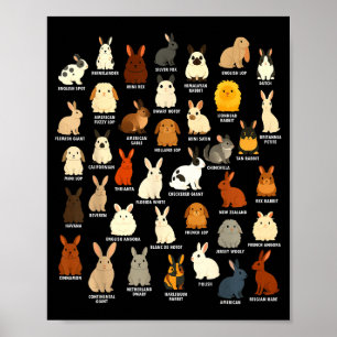 Schattige Konijnenliefhebber Konijnen Fokt Konijn Poster