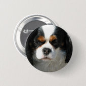 Schattige koning Charles Spaniel Button (Voorkant /achterkant)