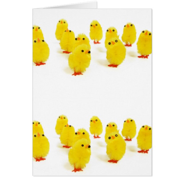 schattige kuikens (Voorkant)