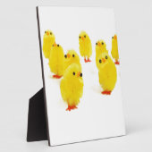 schattige kuikens fotoplaat (Zijkant)