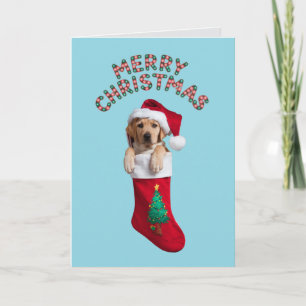 Schattige Labrador Retriever Hond Kerstmis Kaart