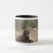 Schattige labrador retriever puppy op bospad mok (Midden)