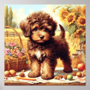 Schattige Lagotto Romagnolo schilderij Poster