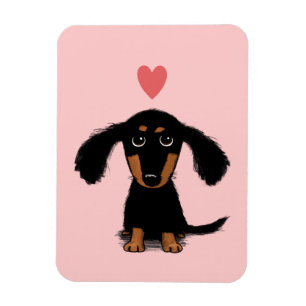 Schattige langharige Doxter Pup met Hart Magneet