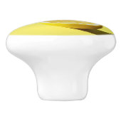 Schattige Lemon Kitchen Deurknop Keramische Knop (Zijkant)