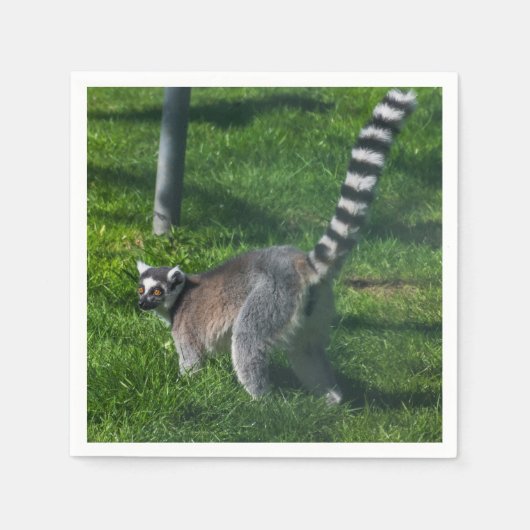 Schattige lemur servet (Voorkant)