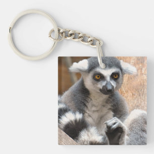 Schattige Lemur Sleutelhanger