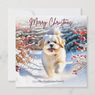 Schattige Lhasa Apso-hond in de sneeuw Prettig ker Feestdagenkaart