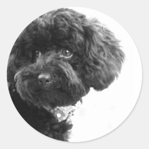 Schattige liefhebbende vriend ronde sticker