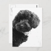 Schattige liefhebber briefkaart (Voorkant / Achterkant)