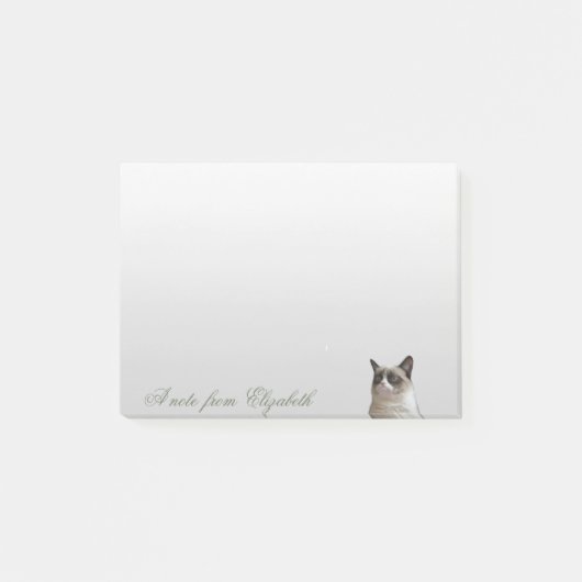 Schattige Lieve Kat Post-it® Notes (Voorkant)