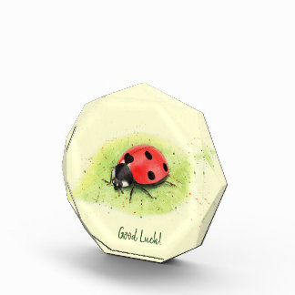 Schattige lieveheersbeestje op een blad Foto Blok
