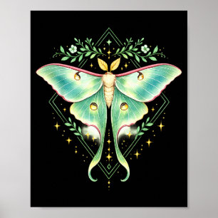 Schattige Luna-mot Mooie Vlinder Insectenliefhebbe Poster