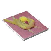 Schattige Lutino Indian Ringnek Paraket op roze Notitieblok (Schuin)