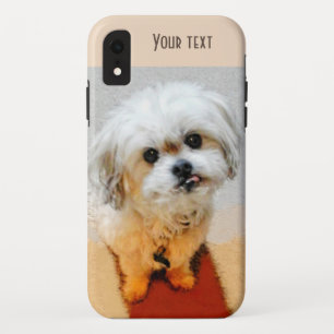 Schattige Malshi iPhone XR Hoesje