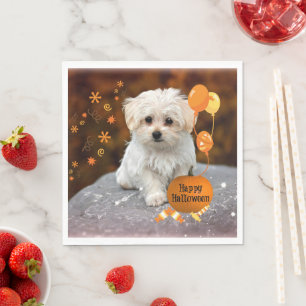 Schattige Maltese puppy Celebrates Halloween Servet