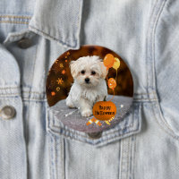 Schattige maltese puppy viert Halloween Button