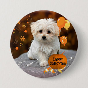 Schattige Maltese Puppy viert Halloween  Ronde Button 7,6 Cm