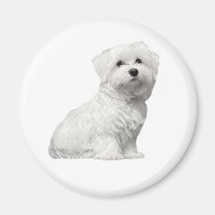 Schattige Maltezer Hond Zit Puppy Magneet