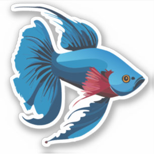 Schattige Mannelijke Beta Vis Cartoon Karakter Sticker