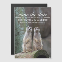 Schattige Meerkats Funny Expression Save The Date