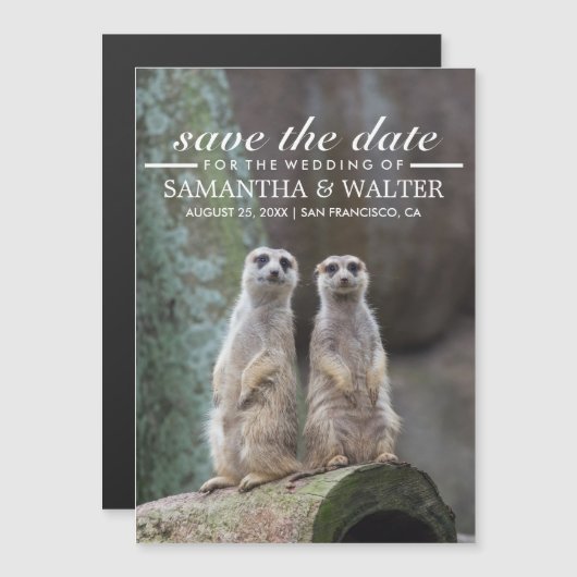 Schattige Meerkats Funny Expression Save The Date Magnetische Uitnodiging (Voorkant / Achterkant)