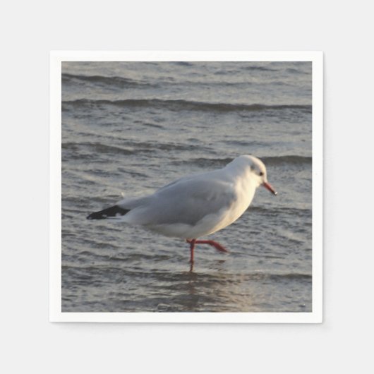 Schattige meeuw servet (Voorkant)