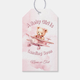 Schattige Meisje Baby Beer Piloot Roze Vliegtuig M Cadeaulabel